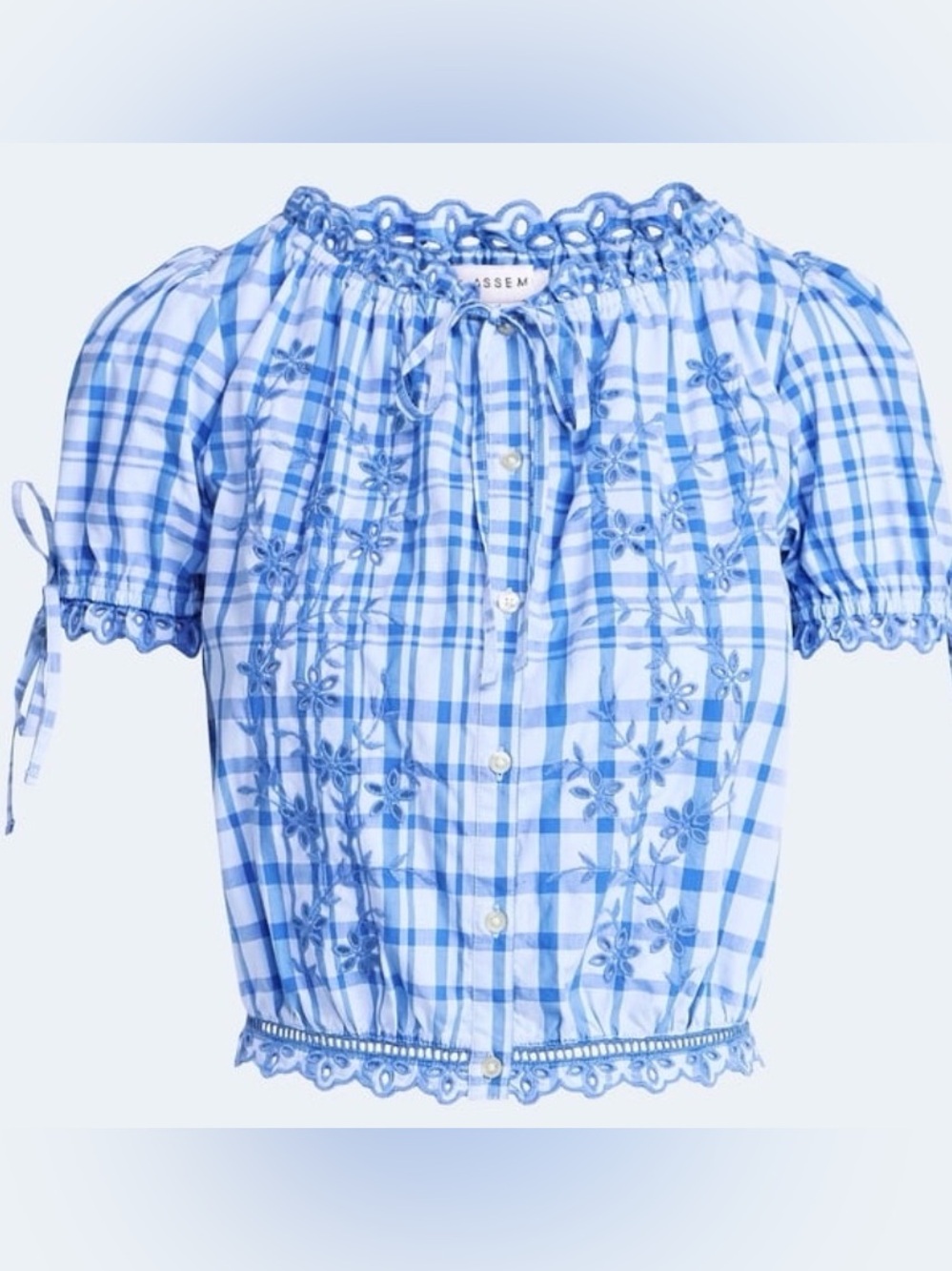 Blue Gingham Embroidered Peasant Blouse